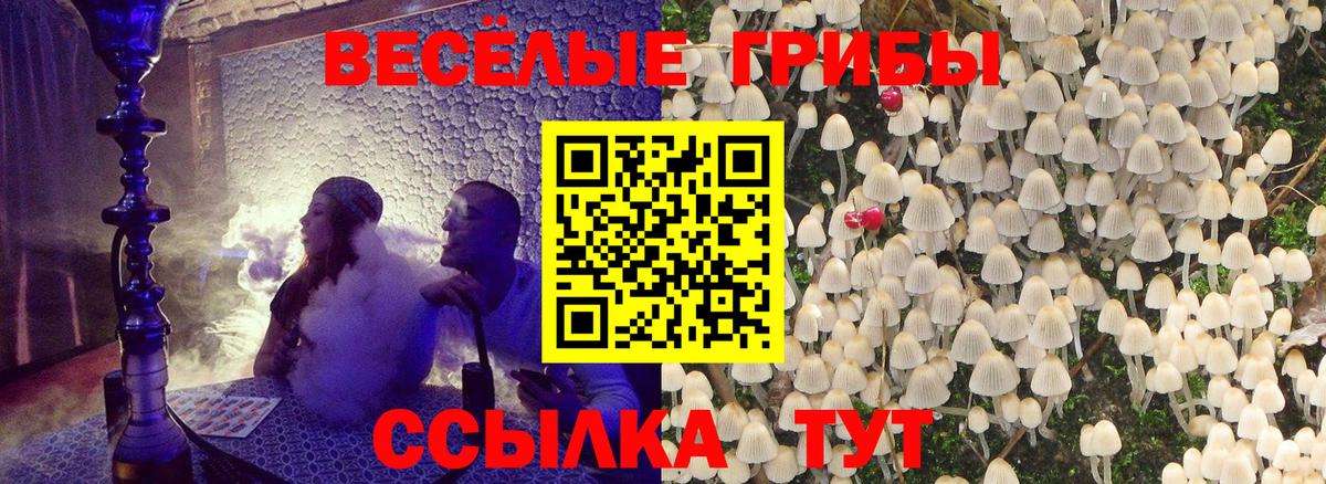 Псилоцибиновые грибы GOLDEN TEACHER Черногорск